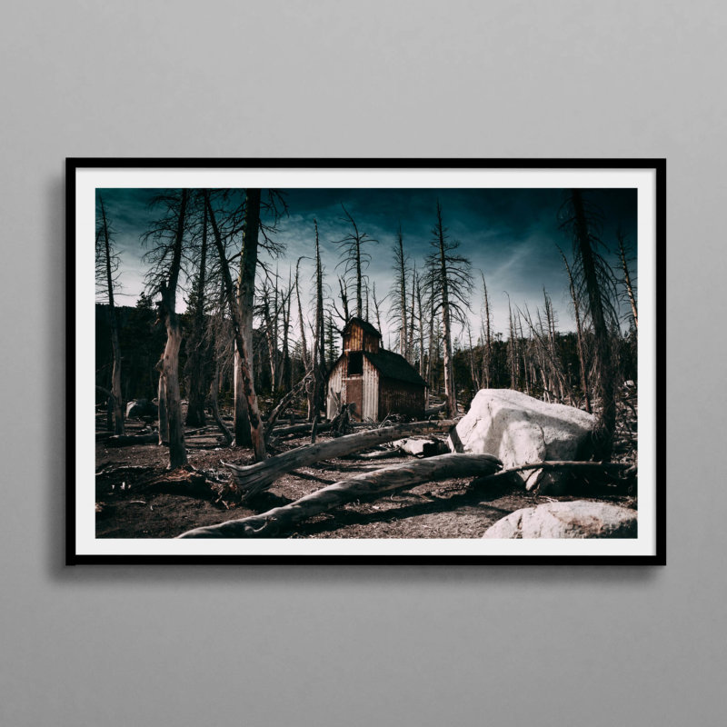 All Them Witches Frame